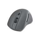 Souris Sans Fil BlueDiamond Track Comfort