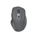 Souris Sans Fil BlueDiamond Track Comfort