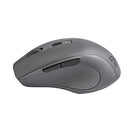 Souris Sans Fil BlueDiamond Track Comfort