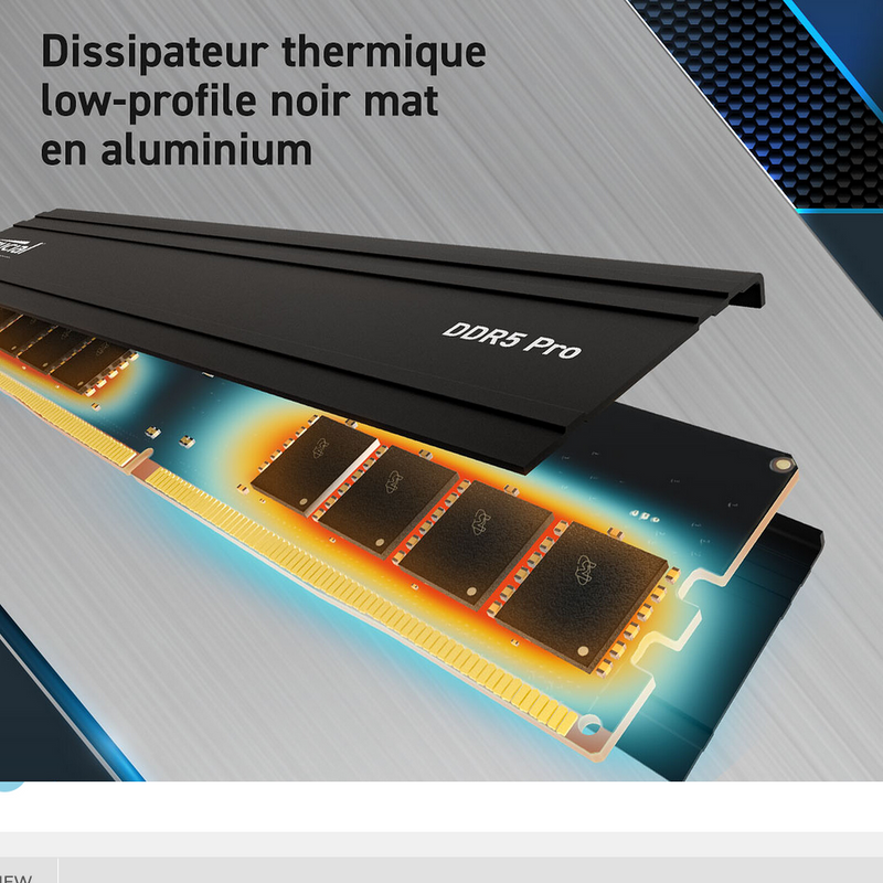 Mémoive Vive Crucial Pro 64GB 2x32Gb DDR5-5600Mhz DIMM - AMD Expo & Intel XMP